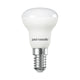 LED Frosted R39 Bulbs