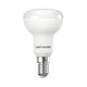 LED Frosted R50 Bulbs