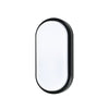 8W oval Bulkhead, 650lm, 6500K, IP542