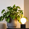 7.2W LED G95, E27, 640lm, Dimmable, 2700K (3 Pack)2