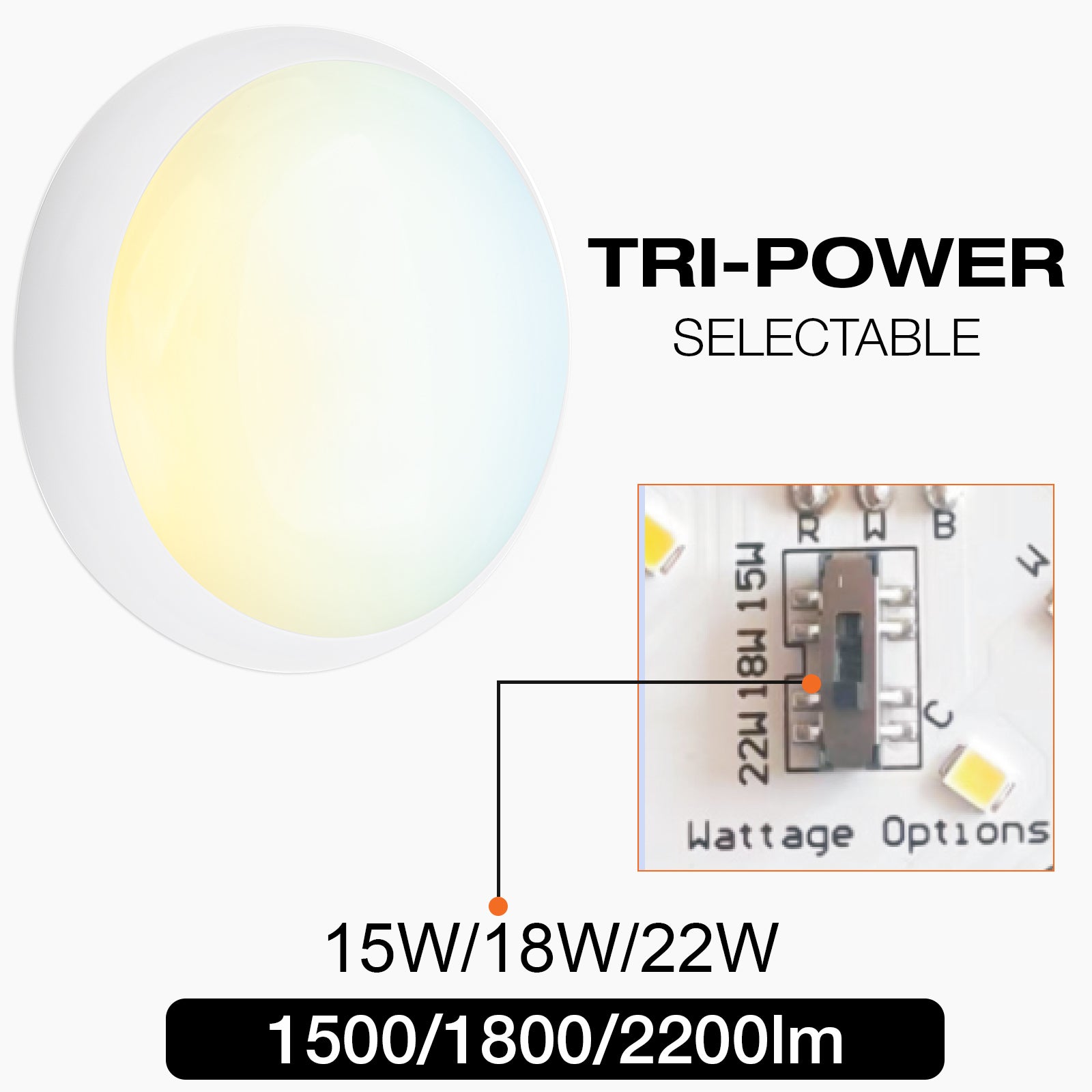 LED Round Bulkhead Light, IP65 Waterproof, Tri-Power & Tri-Colour Selectable